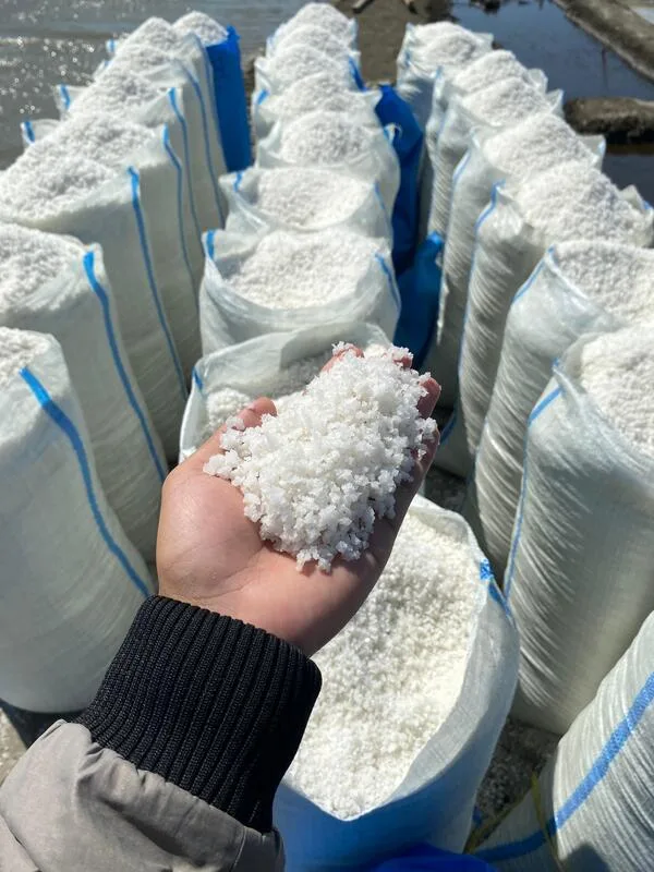 Garam Krosok Kasar Jeneponto 9