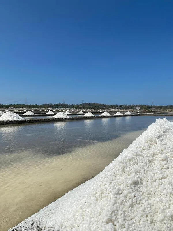 Jual Harga Garam beryodium dapur janepento 3